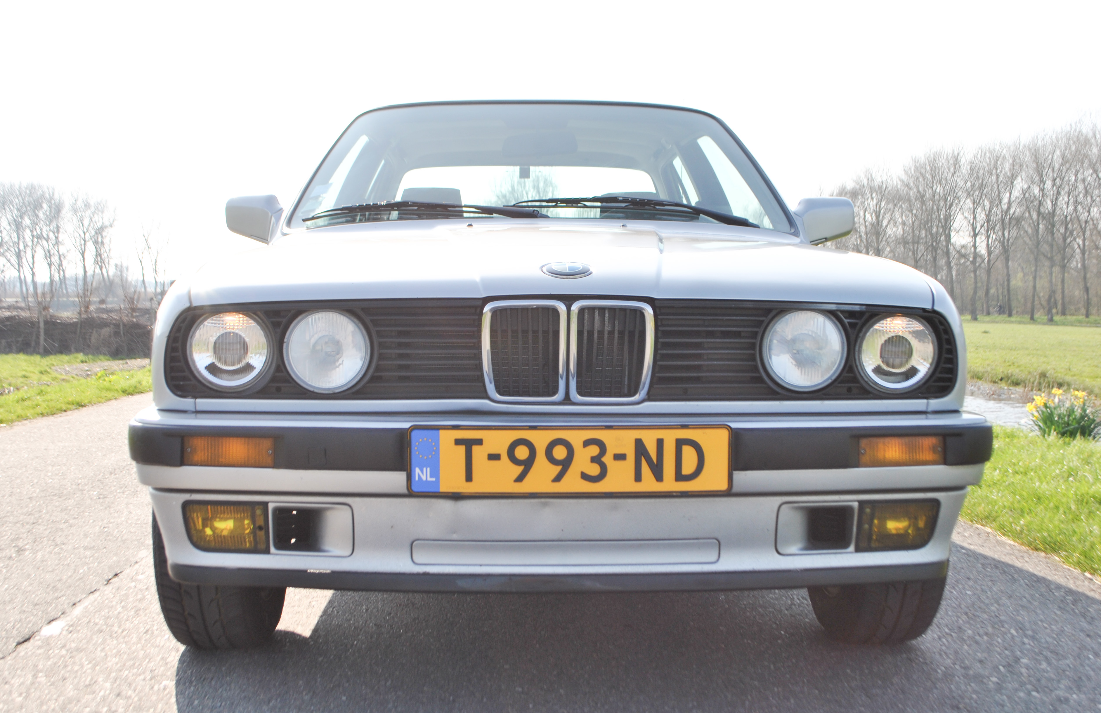 DSC_2279_edited_edited