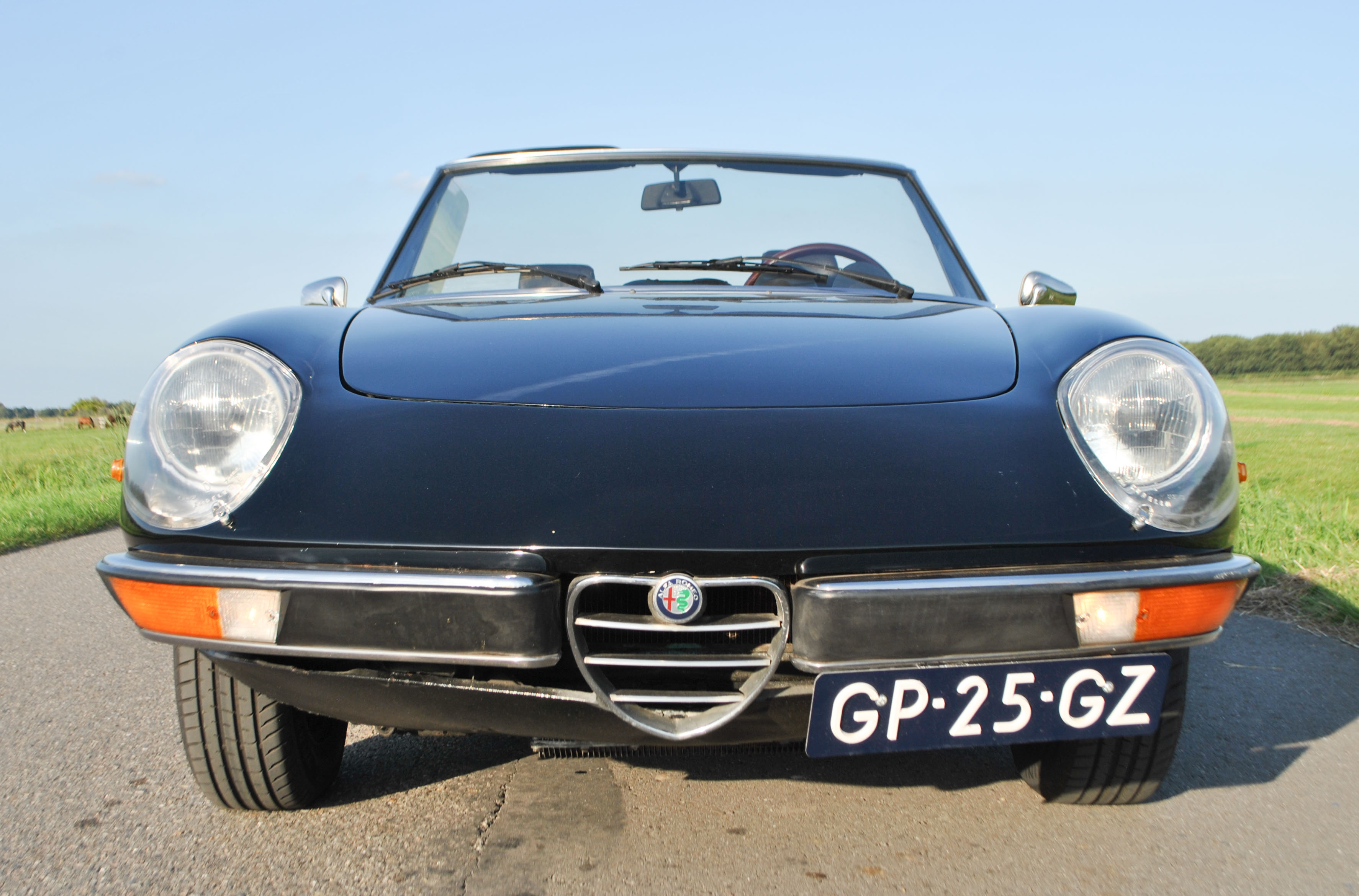 DSC_4395_edited_edited