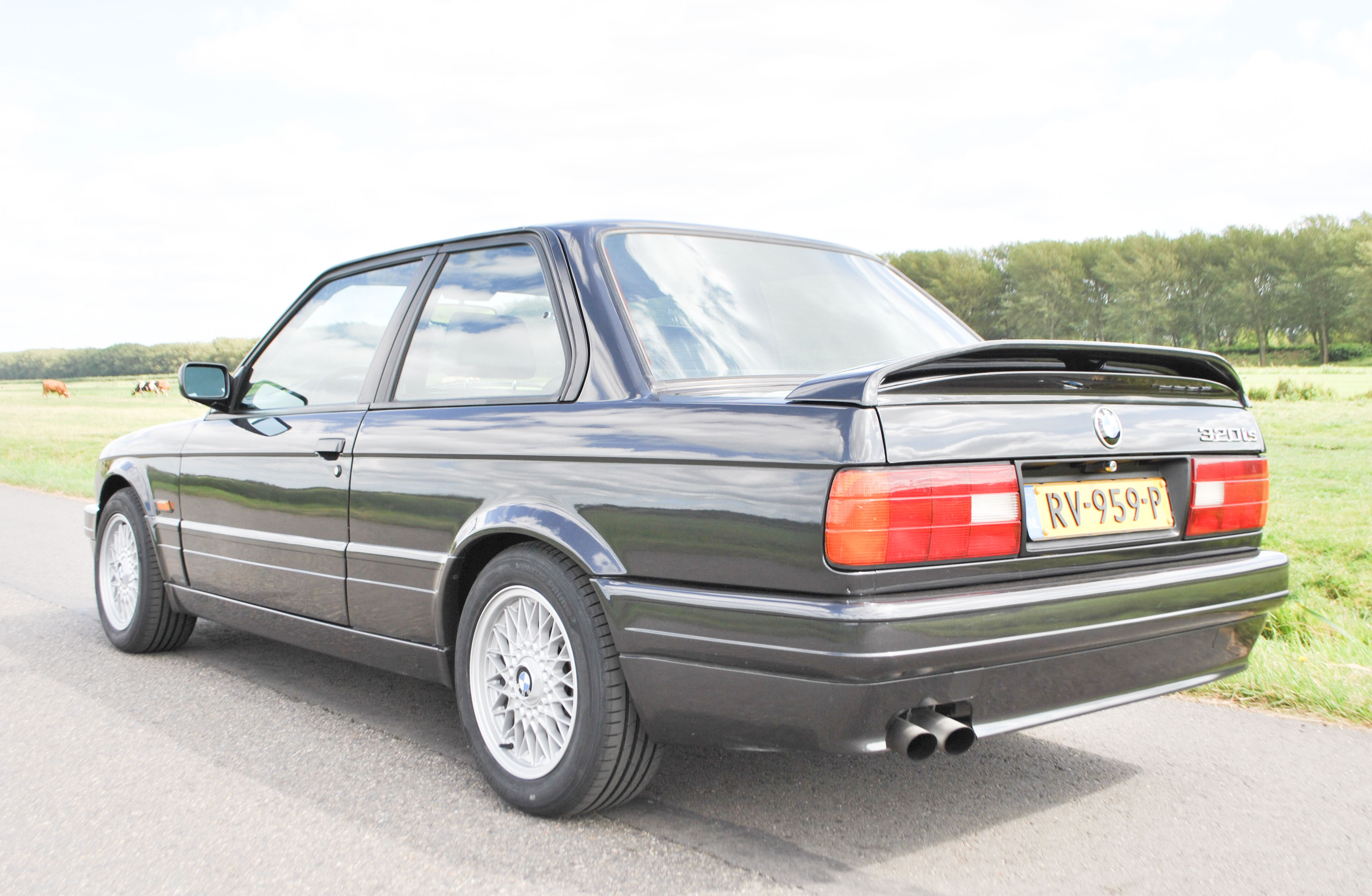 DSC_4153_edited_edited