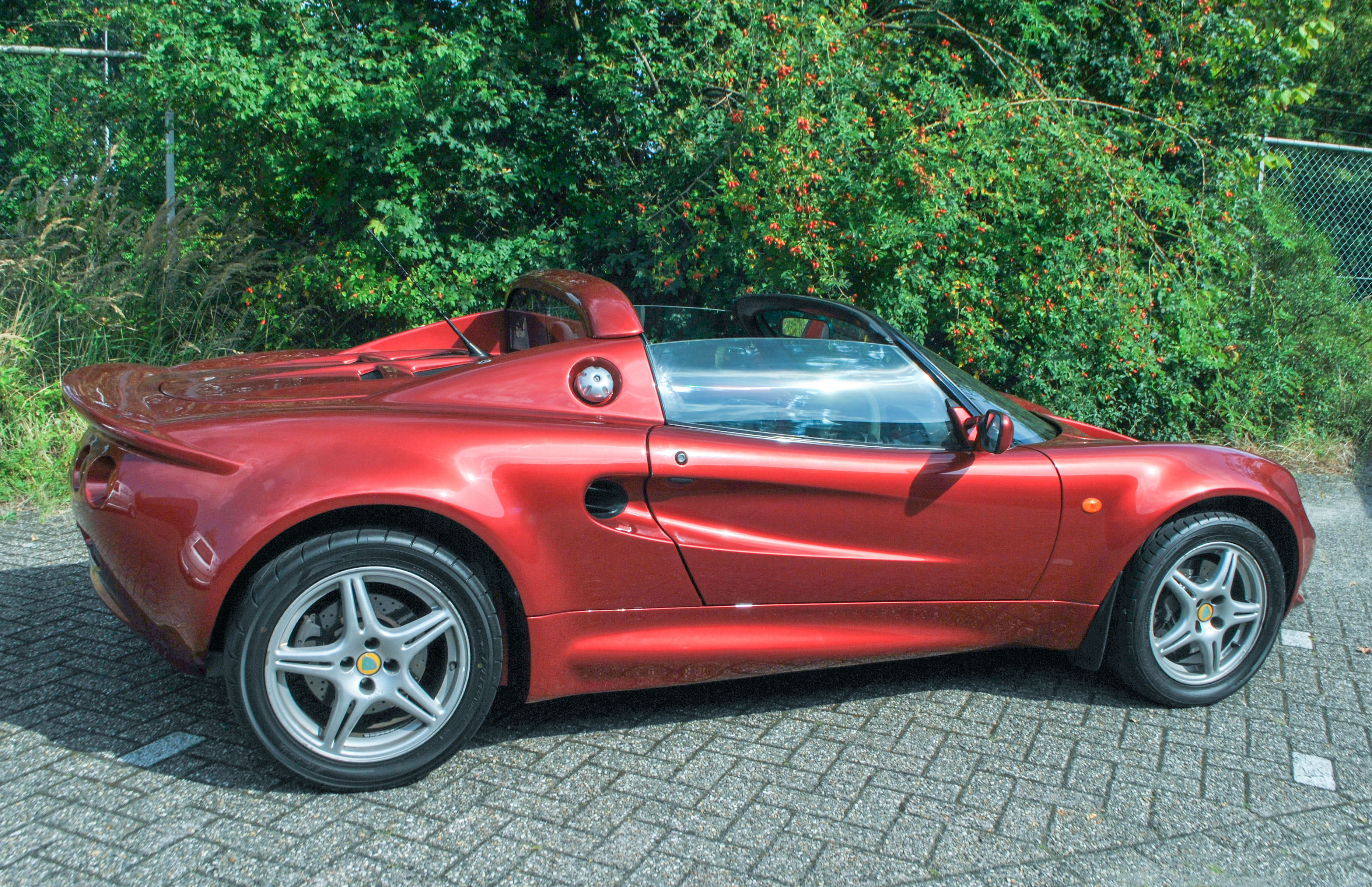 DSC_4483_edited_edited